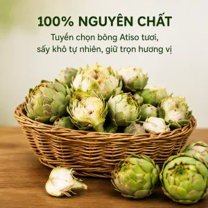 Trà Atiso Túi Lọc DLFresh Hộp 50 Tép – Hương Vị Atiso Đà Lạt Thanh Dịu