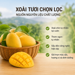 Xoài Sấy Dẻo DLFresh 500g – Đặc Sản Đà Lạt Thơm Ngon, Dẻo Mềm Tự Nhiên